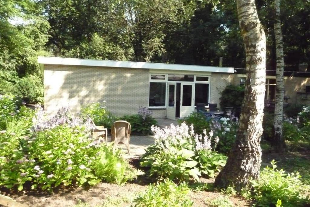 Luxe Recreatiebungalow Zelhem Eksteriør billede